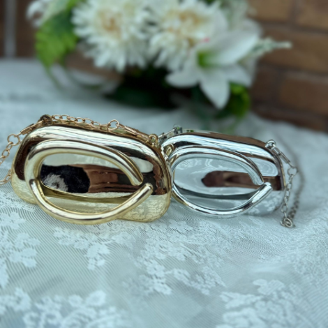 Mini Acrylic Metal Closure Box Clutch Bag